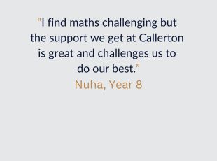 Maths student quote