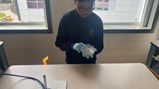 Science