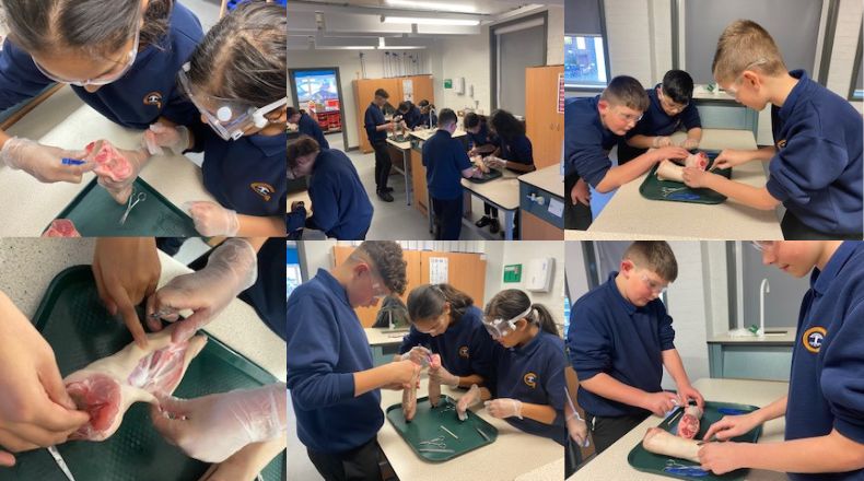 Callerton Academy 7UP Club