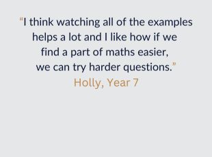 Maths student quote