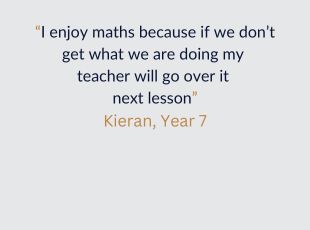 Maths student quote