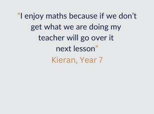 Maths student quote